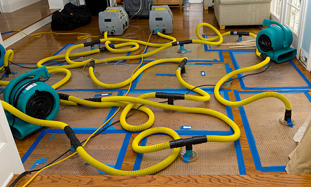 Professional Crawl Space Water Removal technician working in Myrtle Point, OR